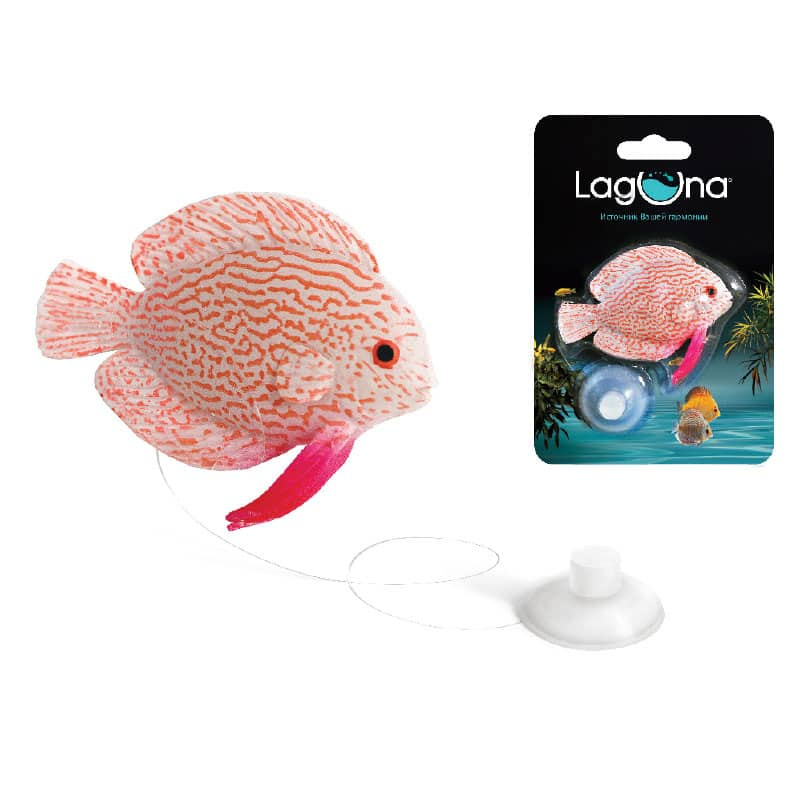 Рыбка декоративная для аквариума Laguna AQUA "Тиляпия"