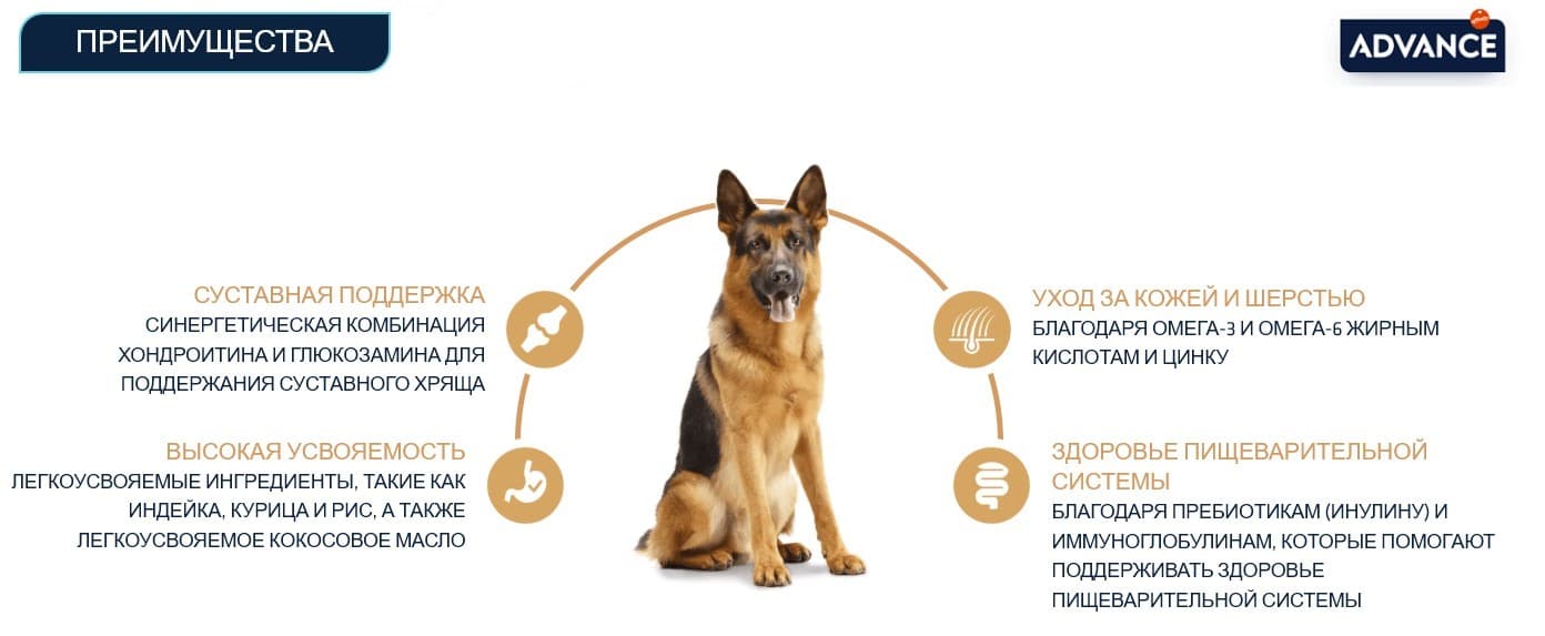 Еда для немецких овчарок Сухой корм для немецкой овчарки Advance German Sheperd (индейка)