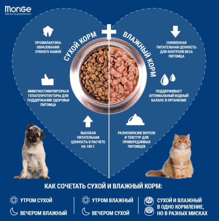 Каталог Сухой корм для собак Monge Dog Monoprotein Adult All Breeds (форель, рис) для собак
