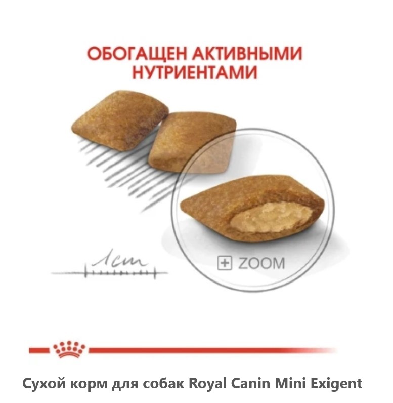 Каталог Сухой корм для собак Royal Canin Mini Exigent для собак
