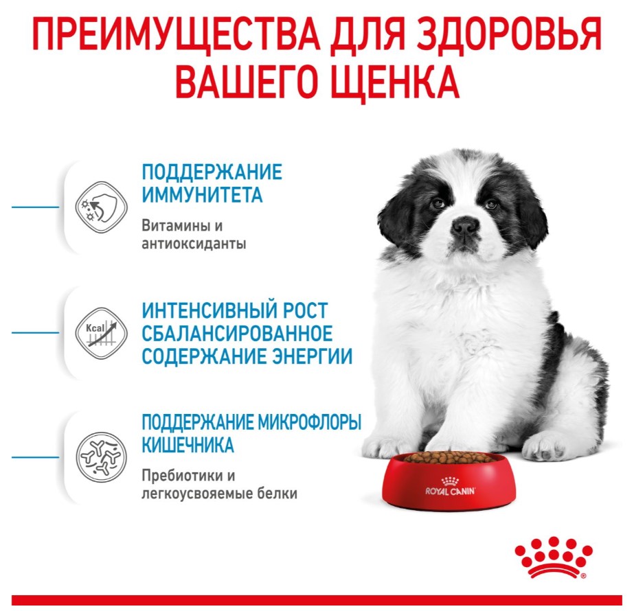 Каталог Сухой корм для щенков Royal Canin Giant Puppy для собак