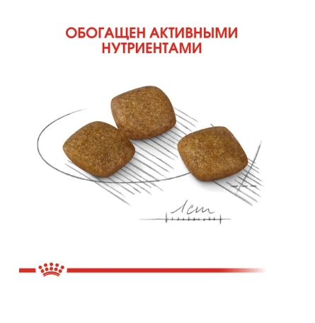 Каталог Сухой корм для собак Royal Canin Mini Relax для собак