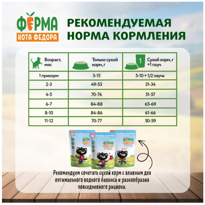 Сухой корм для котят от 1 месяца, беременных и кормящих кошек Ферма кота Федора с индейкой