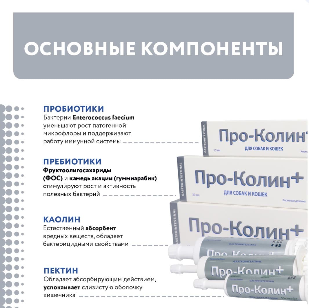 Кормовая добавка для кошек и собак Protexin Проколин