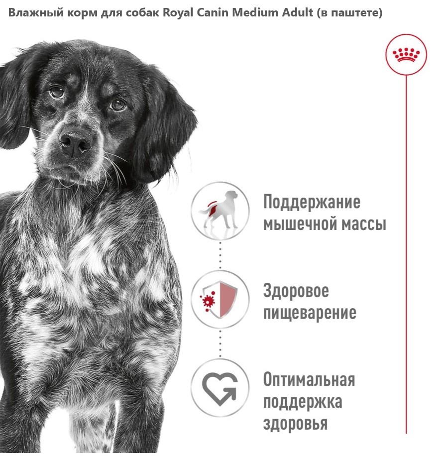 Влажный корм для собак Royal Canin Medium Adult (в паштете)