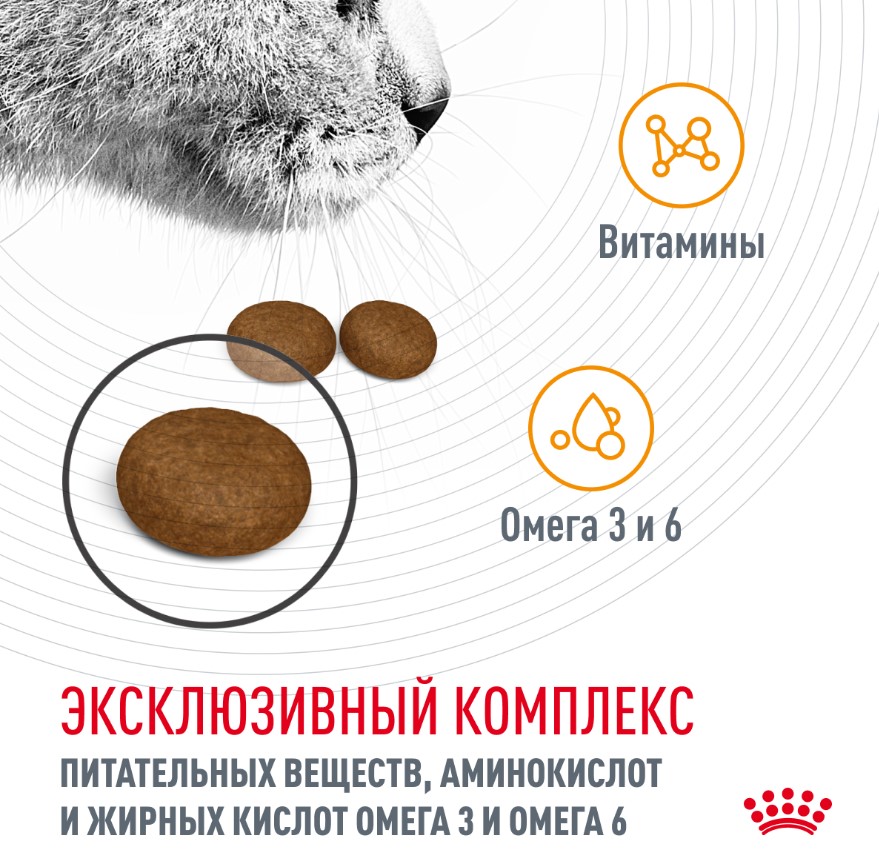 Сухой корм для кошек Royal Canin Hair & Skin Care
