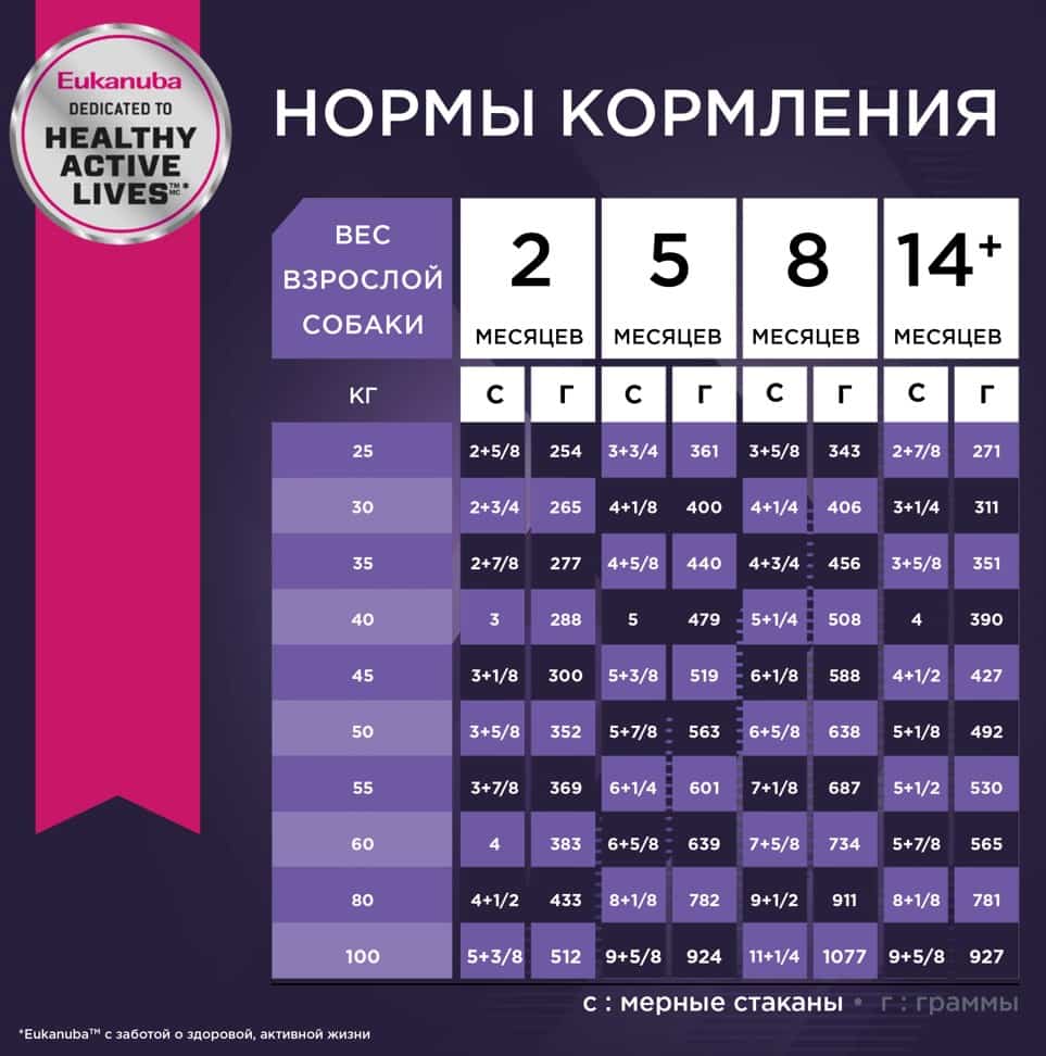 Еда для щенков Сухой корм для щенков Eukanuba Puppy Large Breed (птица)