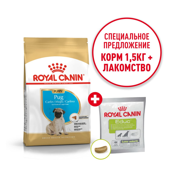 Еда для щенков Сухой корм для щенков Royal Canin Pug Puppy