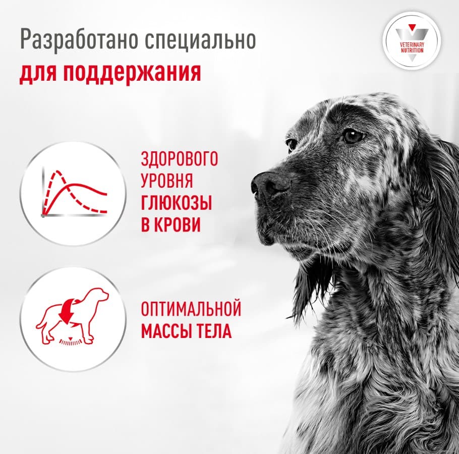 Сухой корм для собак при диабете Royal Canin Glycobalance Dog