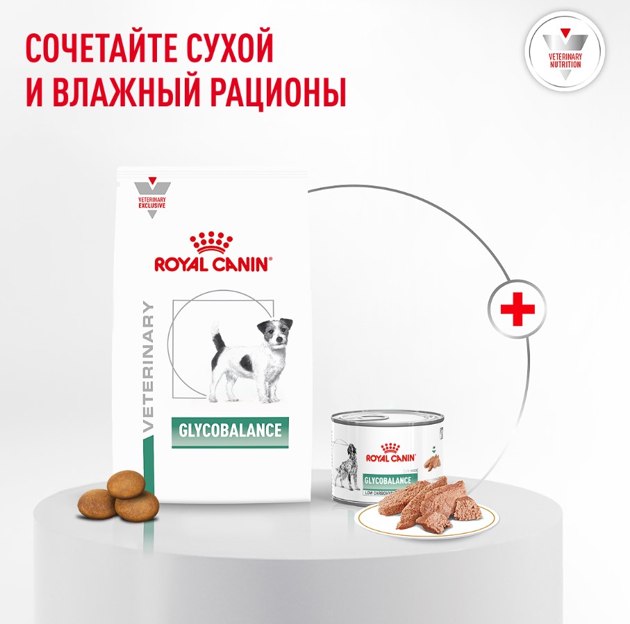 Сухой корм для собак мелких пород при диабете Royal Canin Glycobalance Small Dog
