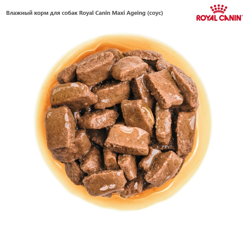 Влажный корм для собак Royal Canin Maxi Ageing (соус)