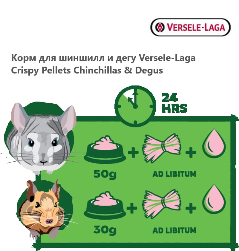 Versele-Laga Crispy Pellets Chinchillas & Degus