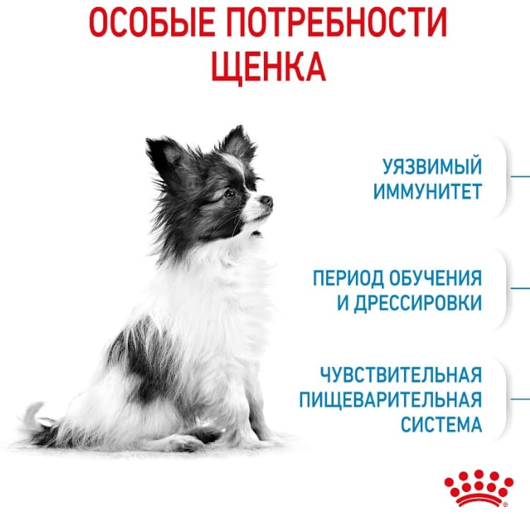 Еда для щенков Сухой корм для щенков Royal Canin X-Small Puppy