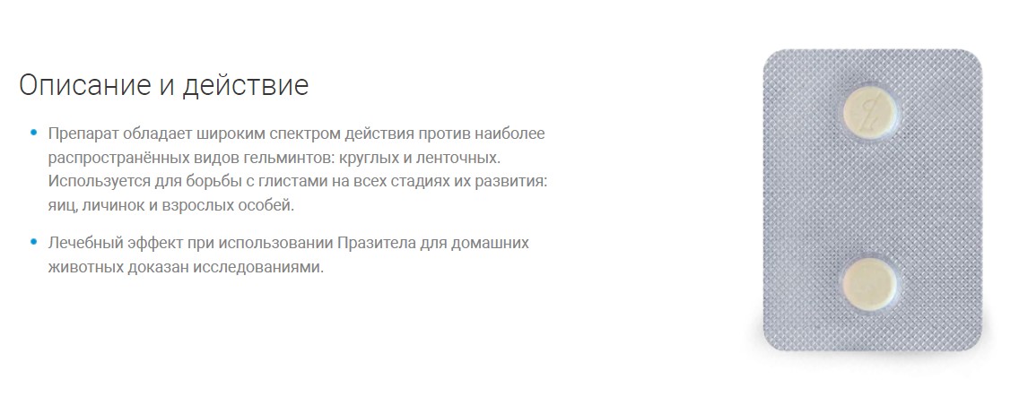 Празител таблетки от глистов для кошек