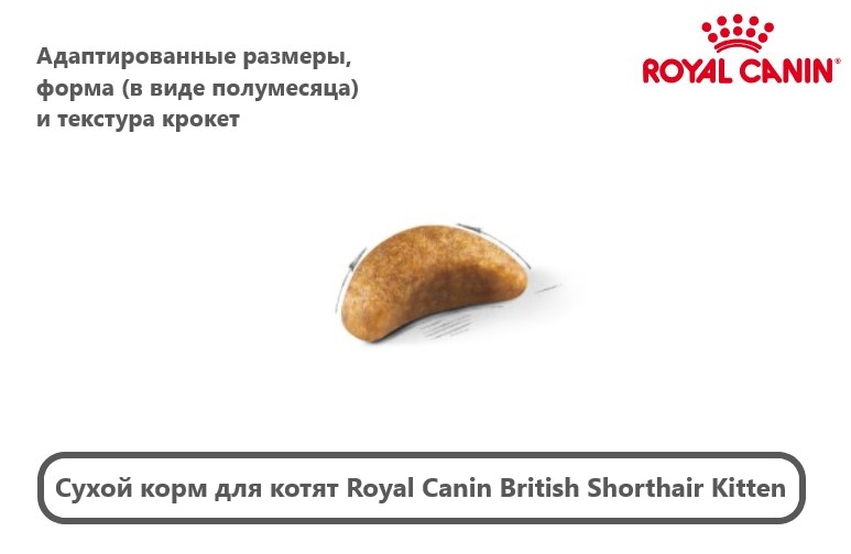Сухой корм для котят Royal Canin British Shorthair Kitten