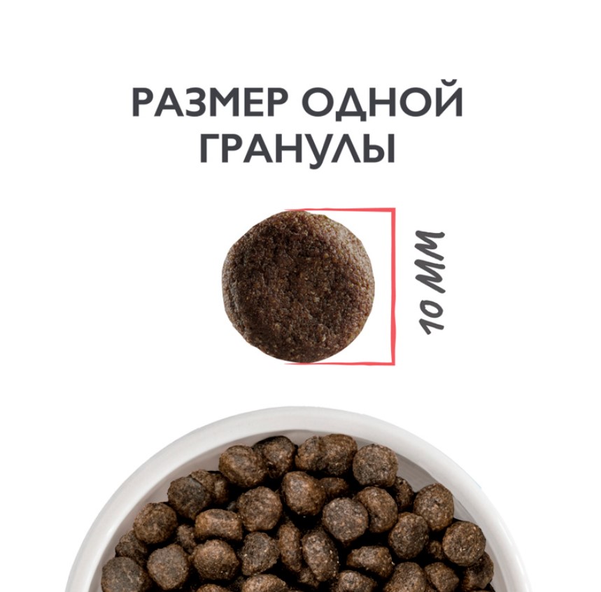 Сухой корм для котят Brit Care Cat Kitten Healthy Growth (индейка)
