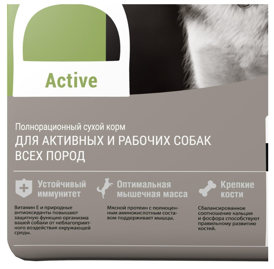 Каталог Сухой корм для собак Darsi Active (телятина) для собак
