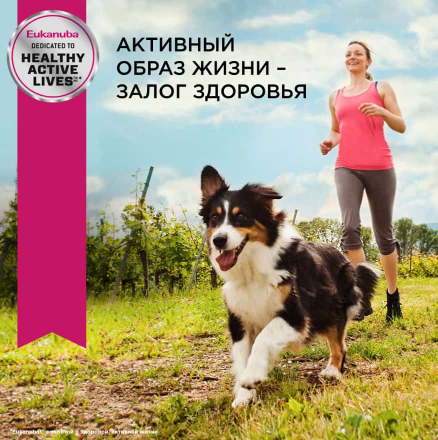 Еда для щенков мелких пород Сухой корм для щенков Eukanuba Puppy Small Breed (птица)