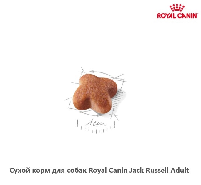 Каталог Сухой корм для собак Royal Canin Jack Russell Adult для собак