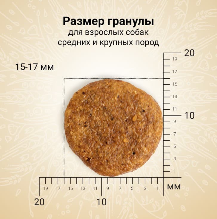 Еда для собак CRAFTIA NATURA Adult Medium&Large (утка, фазан)