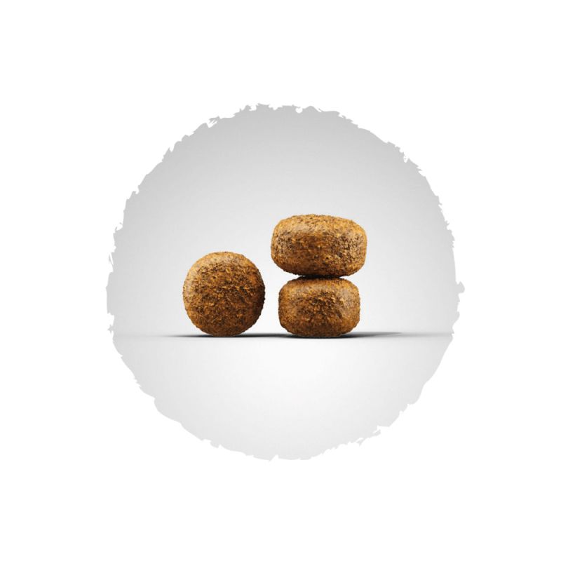Питание для собак Josera Balance