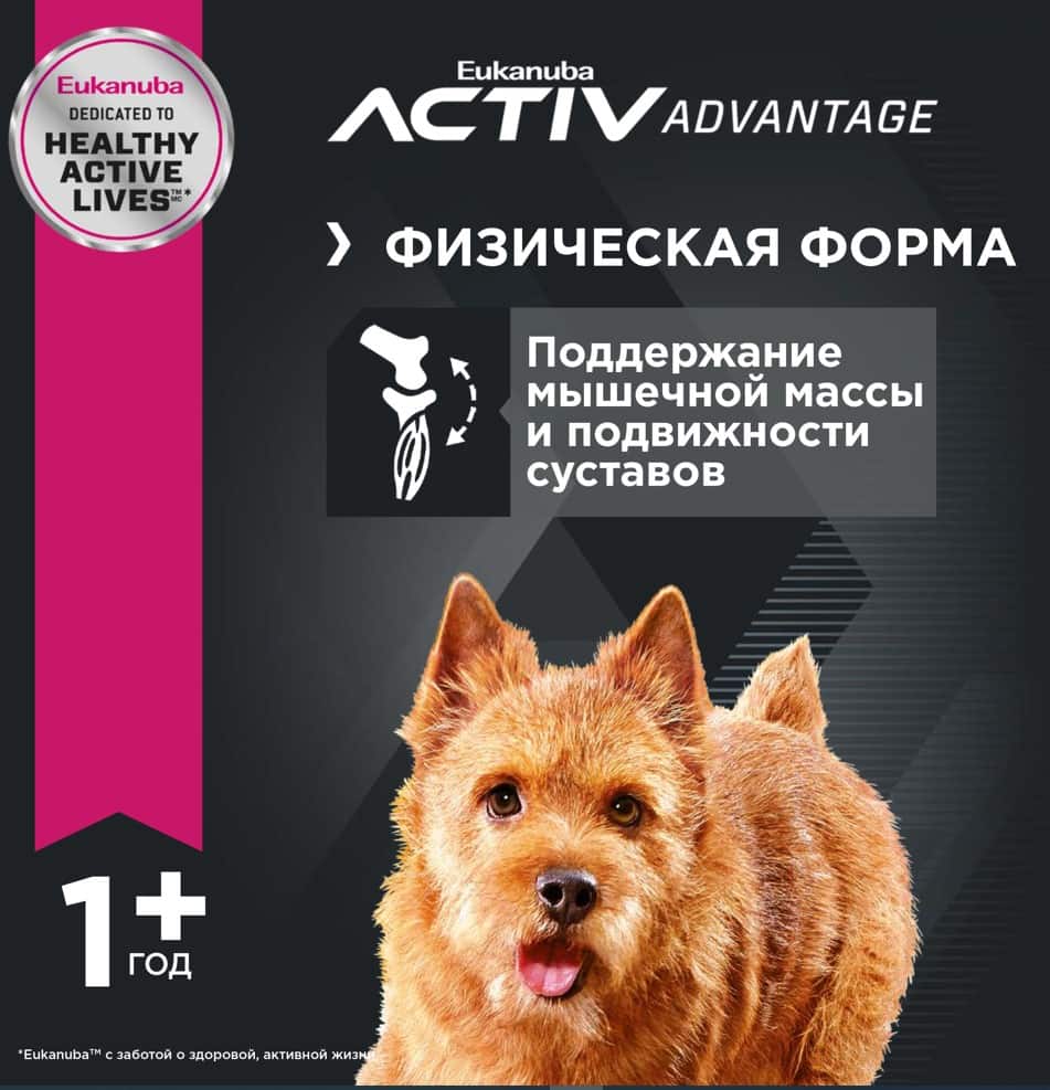 Каталог Сухой корм для собак Eukanuba Adult Small Breed (птица) для собак