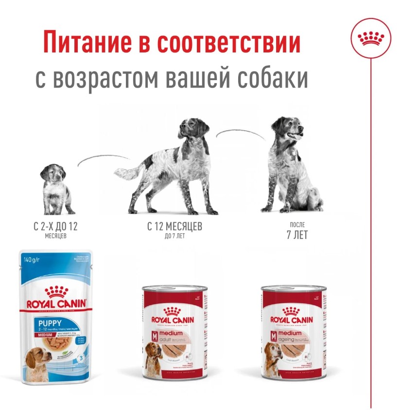 Влажный корм для собак Royal Canin Medium Ageing (в паштете)
