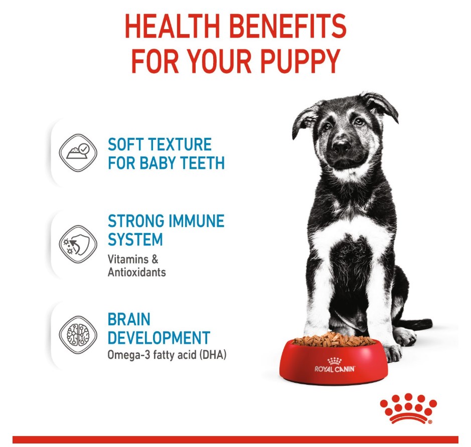 Влажный корм для щенков Royal Canin Maxi Puppy (соус)