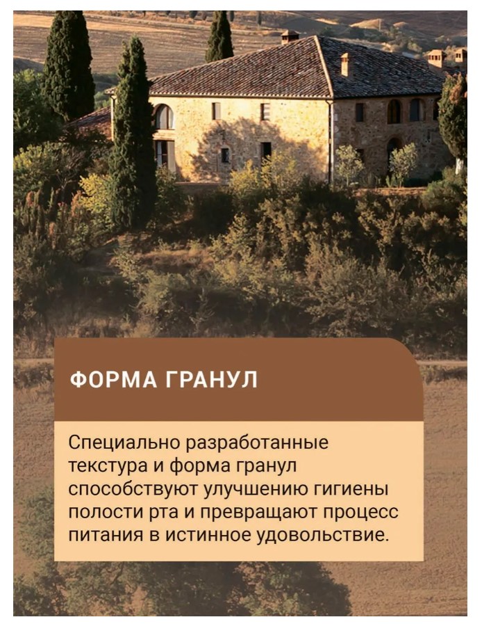 Каталог Сухой корм для собак Glance с говядиной и овощами для собак