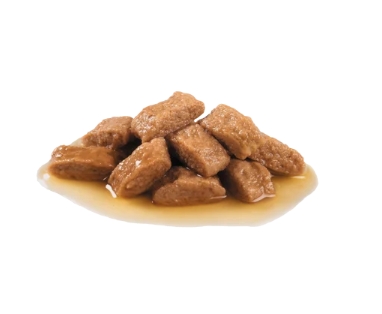 Пресервы для пожилых собак средних пород  Влажный корм для собак Royal Canin Medium Ageing (соус)