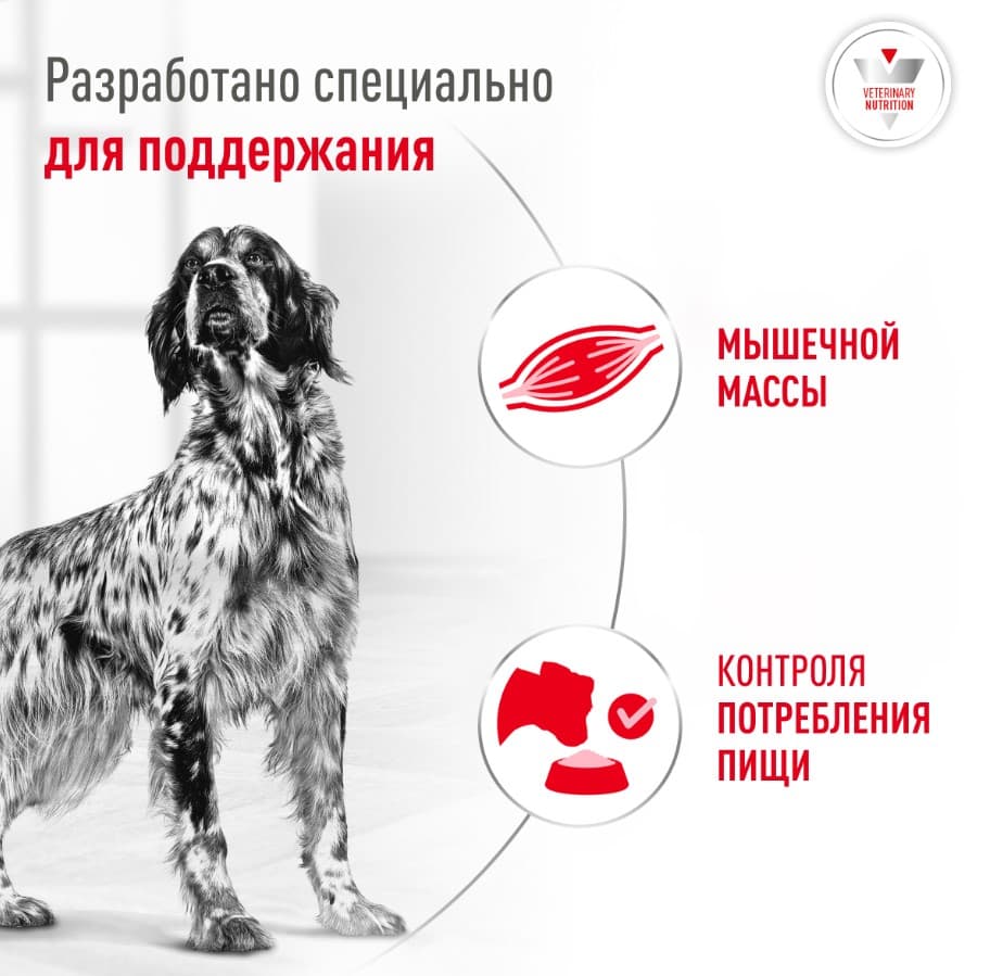 Влажный корм для собак при диабете Royal Canin Glycobalance Dog