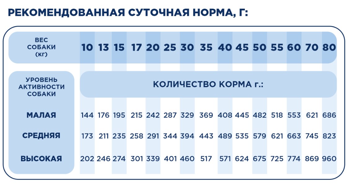 Каталог Сухой корм для собак средних и крупных пород Pet's Brunch Ragu Adult Medium & Maxi Breeds (говядина) для собак