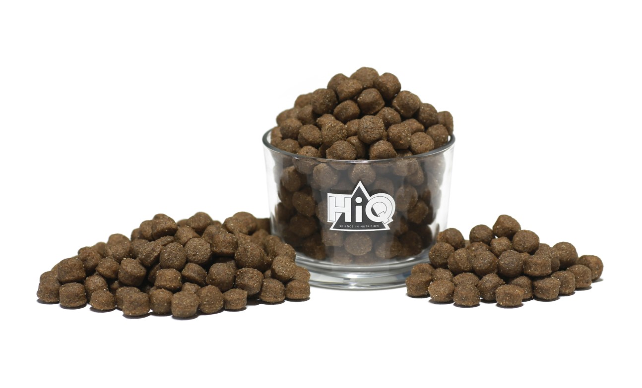 Сухой корм для собак HiQ Adult All Breed (ягненок)