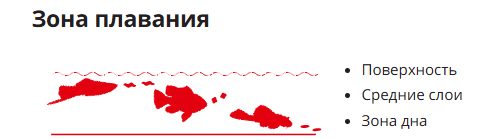 Витаминный препарат SERA Fishtamin 15 мл (2710)