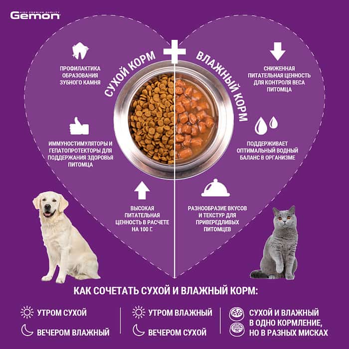 Сухой корм для котят Gemon Kitten (курица и рис)