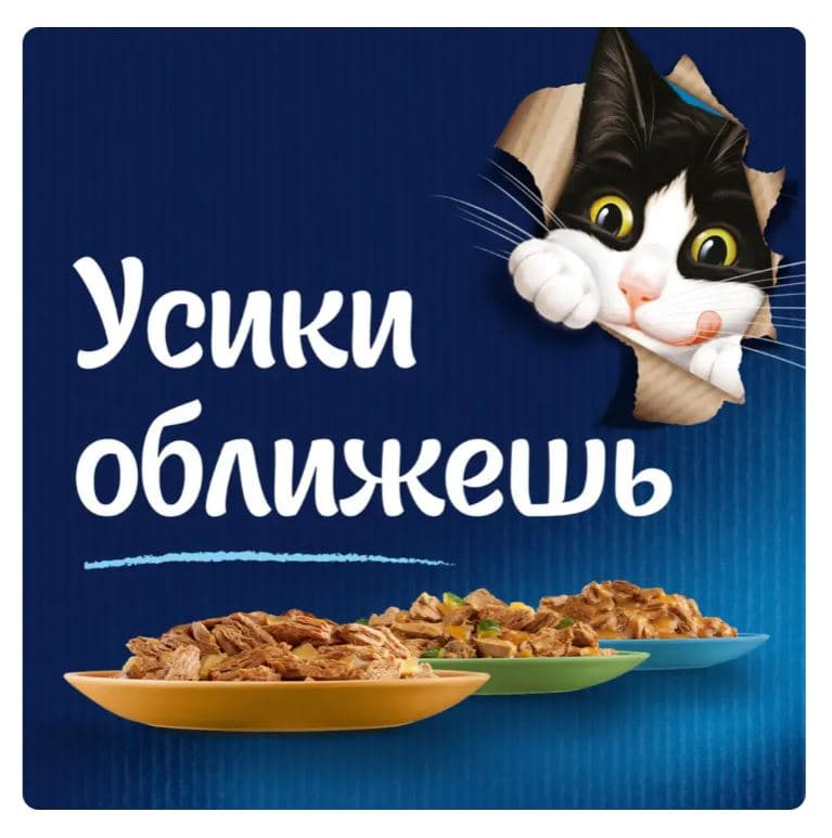 Влажный корм для кошек Felix Аппетитные кусочки (лосось в желе)