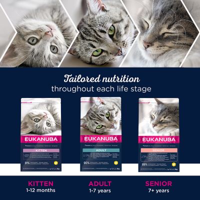 Сухой корм для кошек Eukanuba Cat Adult Top Condition (курица)