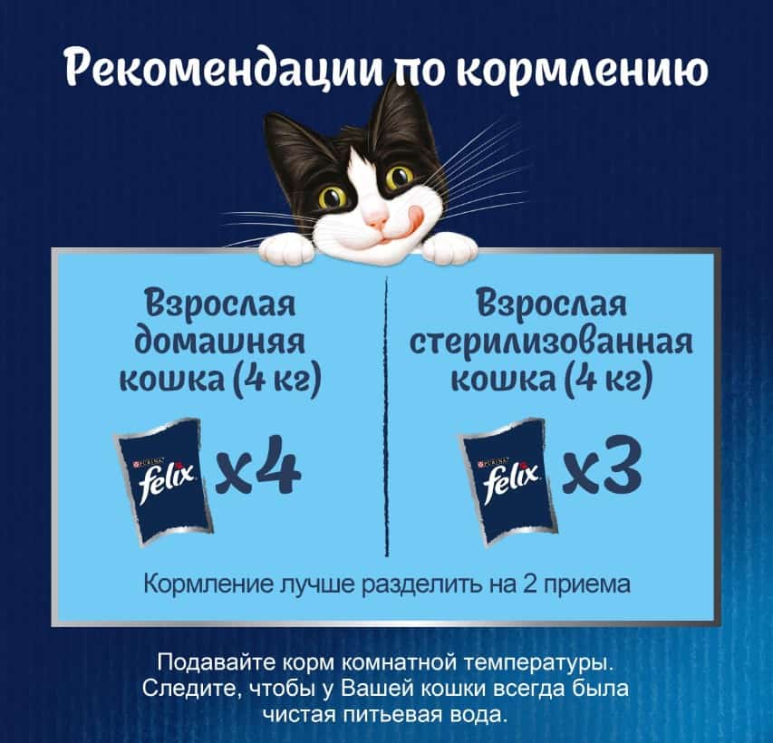 Влажный корм для кошек Felix Аппетитные кусочки (форель в желе)