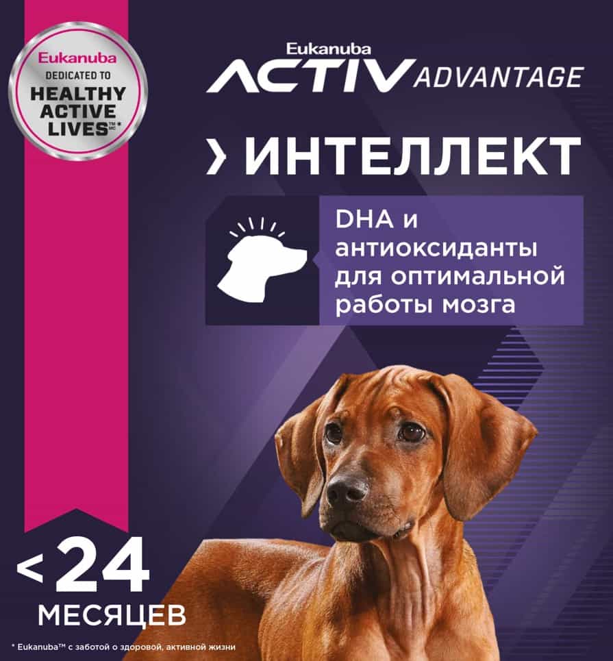 Еда для щенков Сухой корм для щенков Eukanuba Puppy Large Breed (птица)