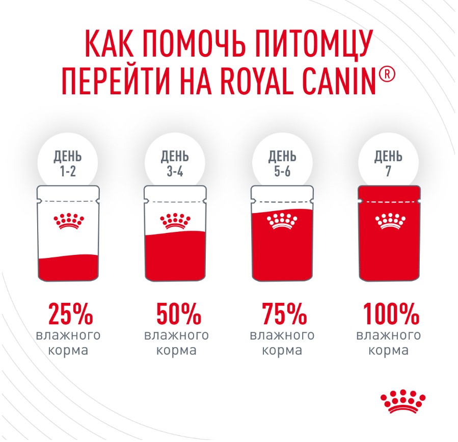 Влажный корм для кошек Royal Canin Hair & Skin Care (в соусе)