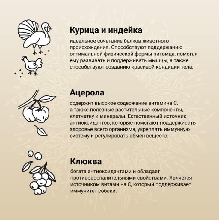 Рацион для щенков Мини пород CRAFTIA NATURA Puppy Mini (курица)