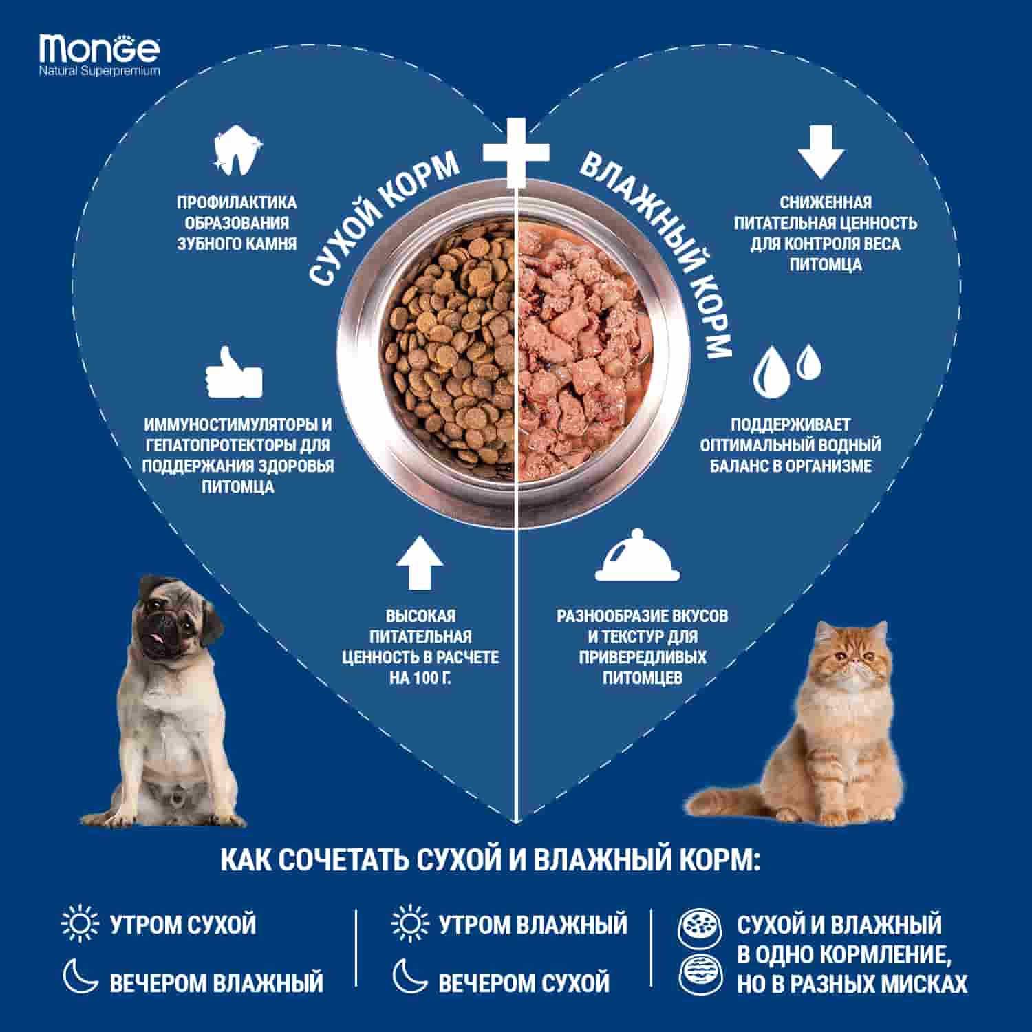 Влажный рацион для собак Monge Fruit Dog Adult (индейка, черника)