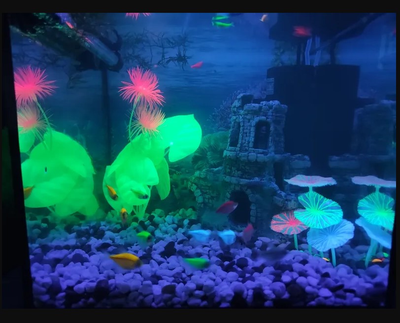 Гравий для аквариума GloFish 2.26 кг