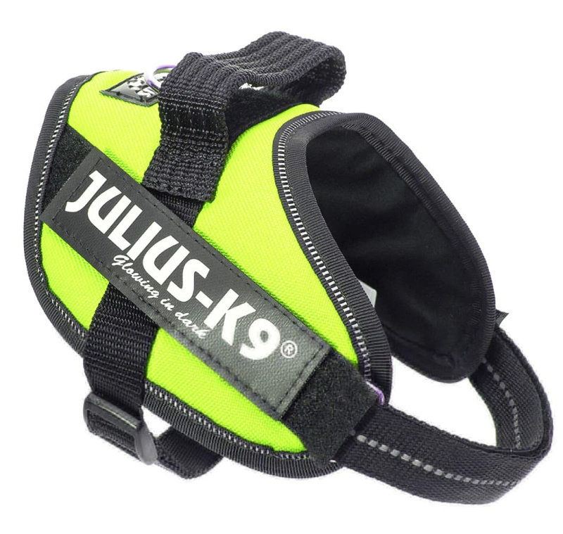 Шлейка для собак Julius-K9 IDC Powerharness Mini зеленый неон
