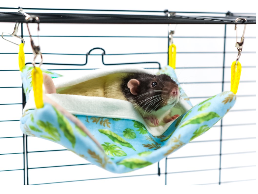 Гамак подвесной для грызунов и хорьков Bambini Pets Квадратный спальный мешок