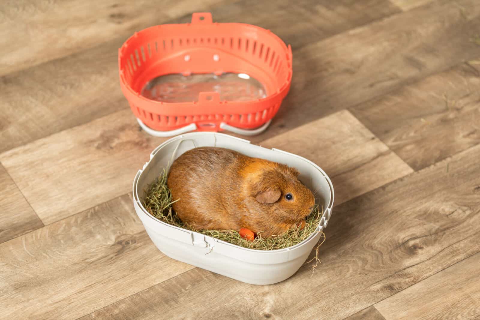 Переноска для грызунов TRIXIE Traveller Pico