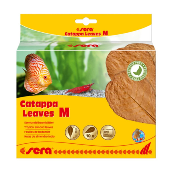 Листья индийского миндаля SERA "Catappa Leave" 10 шт