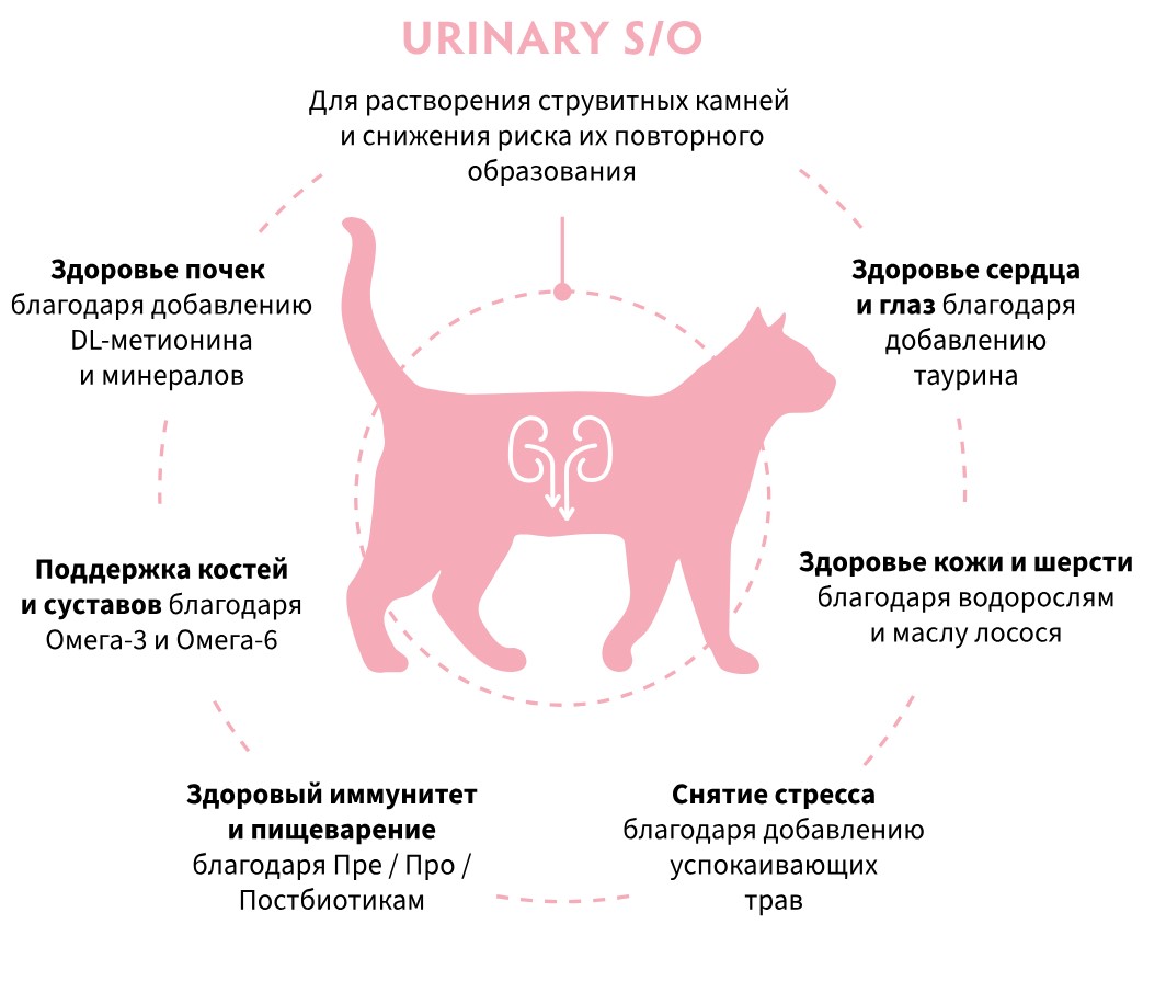 Сухой корм для кошек Grandorf Vet Cat Urinary S/O (индейка)