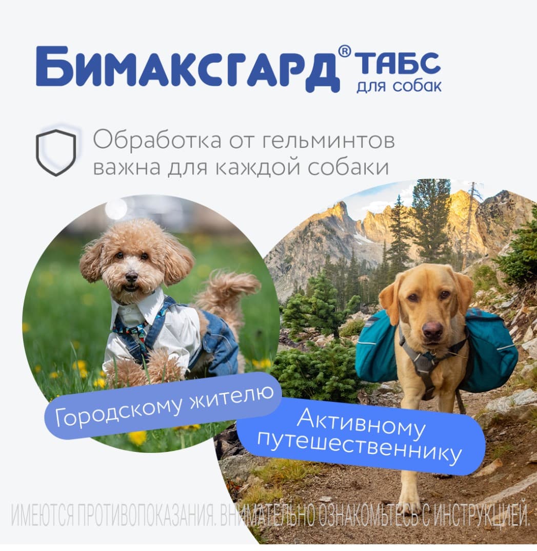 Антигельминтный препарат Бимаксгард ТАБС для собак крупных пород