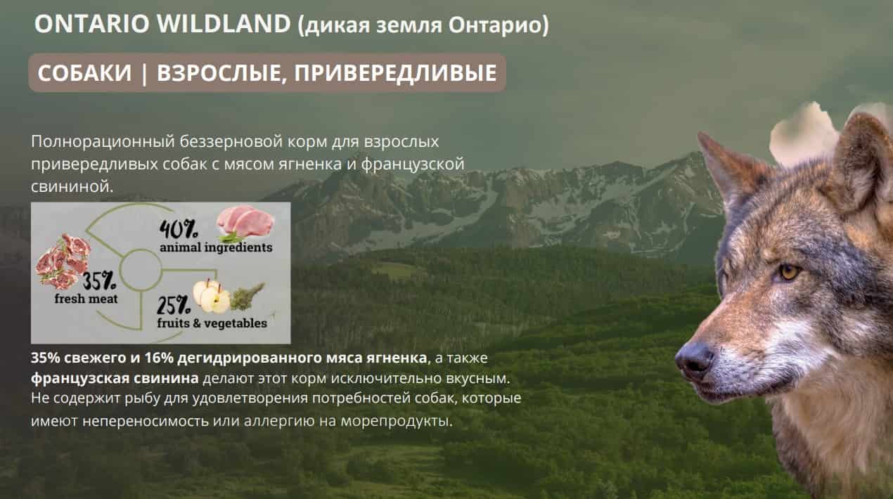 Еда для привередливых собак Сухой корм для собак Natura Wild DOG Ontario Wildland (ягненок, свинина)